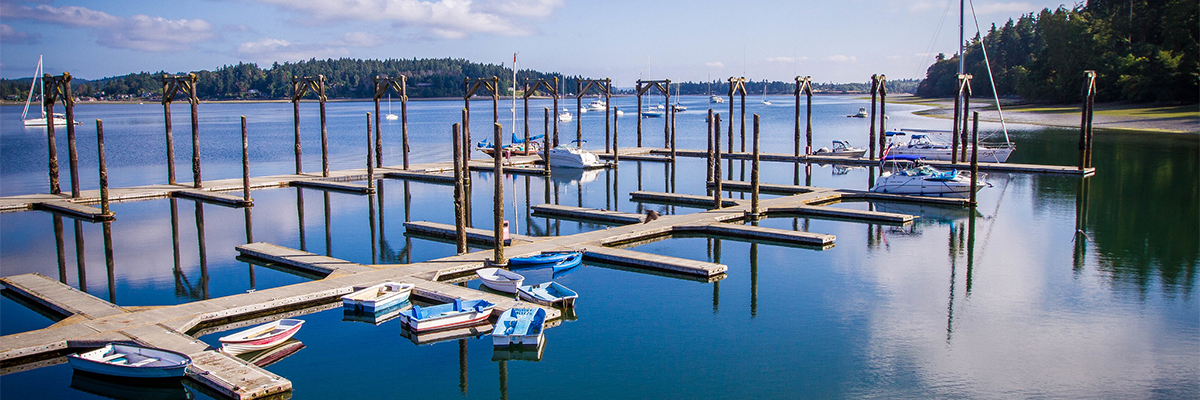 A view of the Dockton Park Marina's boat slips