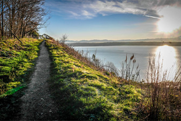 A dirt path runs along the shore at Maury Island Marine Park