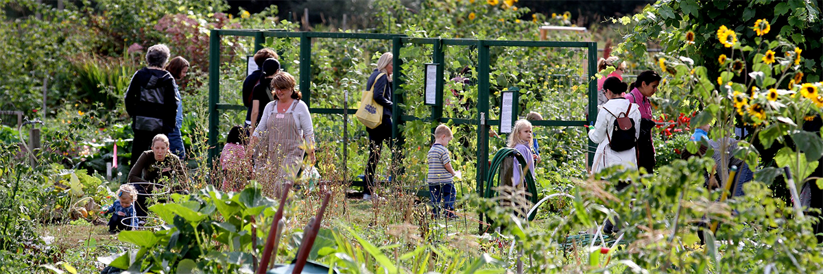 A lush and vibrant community garden with visitors of all ages