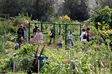A lush and vibrant community garden with visitors of all ages