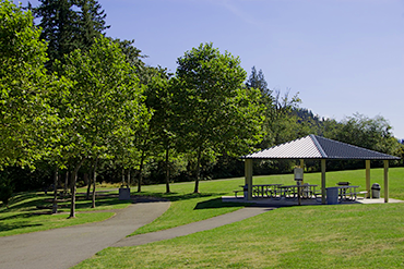 A blue metal-roofed picnic shelter surrounded by green grass