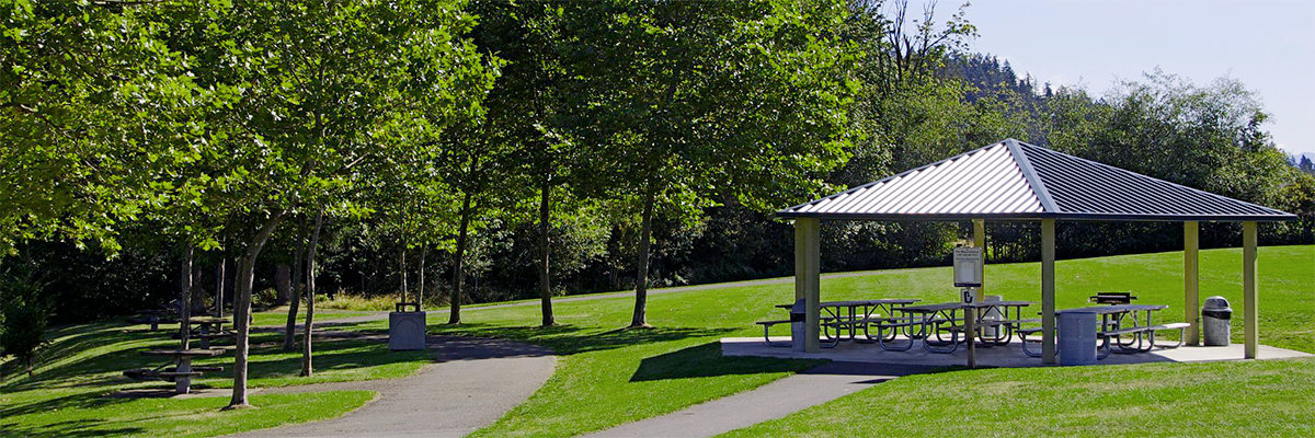 A blue metal-roofed picnic shelter surrounded by green grass