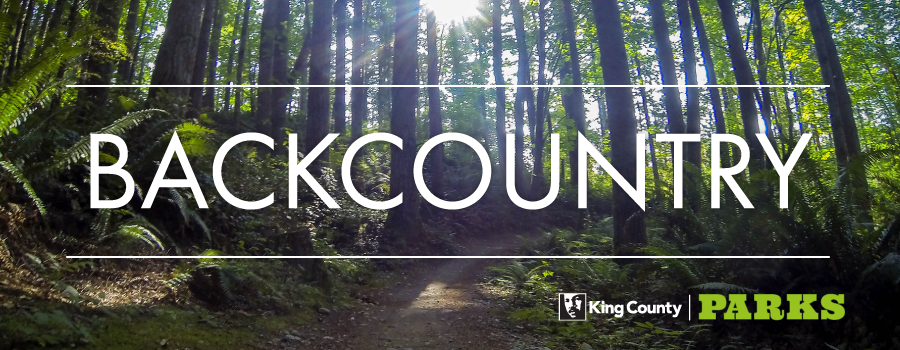 The word backcountry over a dirt trail in the forest