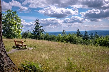 A wooden bench faces the view at Margaret's Way