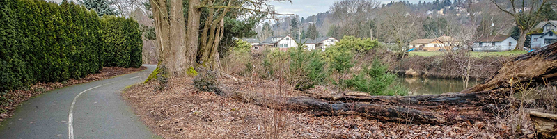 The Green River Trail following the river