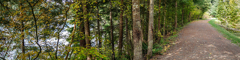 The trail along Lake Wilderness