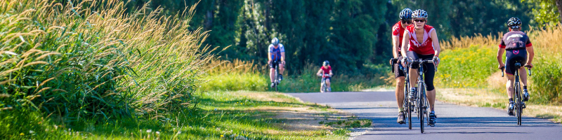 Cyclists ride towards and away from the viewer along the paved trail bordered in tall green grasses
