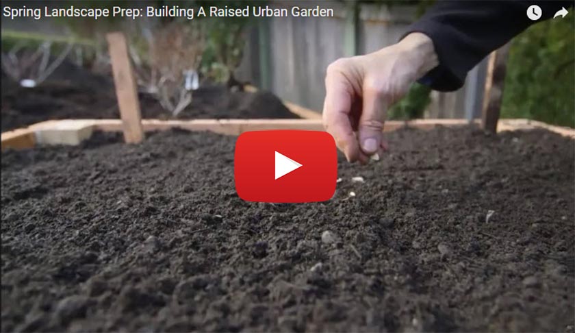 YouTube video: Spring landscape prep: building a raised urban garden