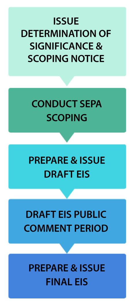 Graphic showing the steps required to prepare and issue an Environmental Impact Statement