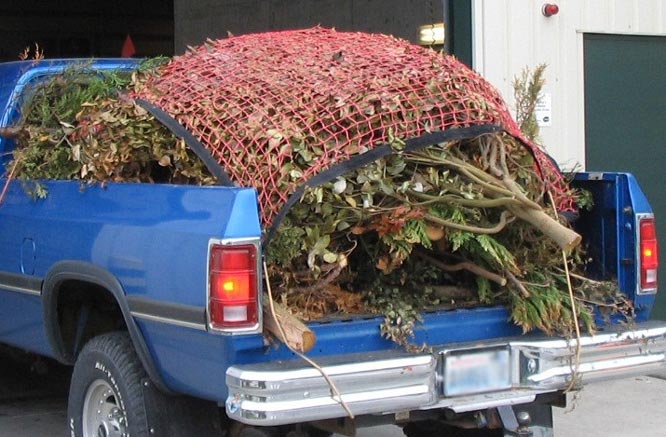 photo of an unsecured load - pile of yard waste, partially covered in the bed of a blue pickup truck