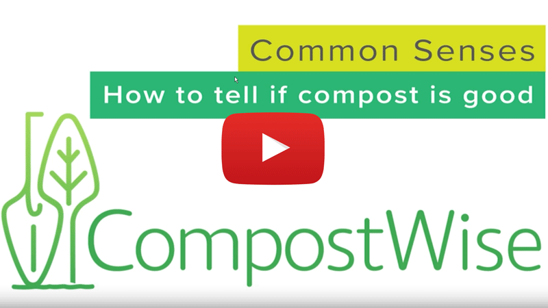 Screenshot of CompostWise video with the words: Common Senses. How to tell if compost is good. Links to YouTube video.