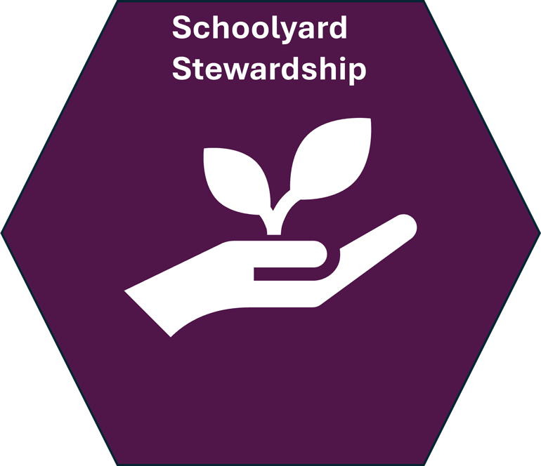 A purple hexagonal graphic with the words Schoolyard Stewardship, branding for the Schoolyard Stewardship benchmark section of the King County Green Schools website.