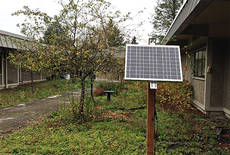 Solar panel in school garden at Pine Lake Middle (Sammamish)