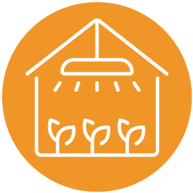 Orange circle with white outline of a greenhouse with vegetables under a grow light - Re+ Zero Waste Action Guide icon representing the Supporting Local Food Systems target action