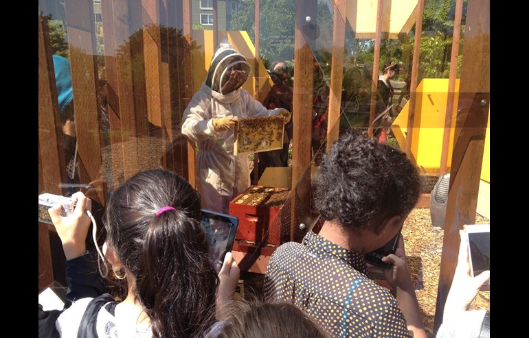 A beekeeper handles a hive of bees while onlookers watch through a glass window