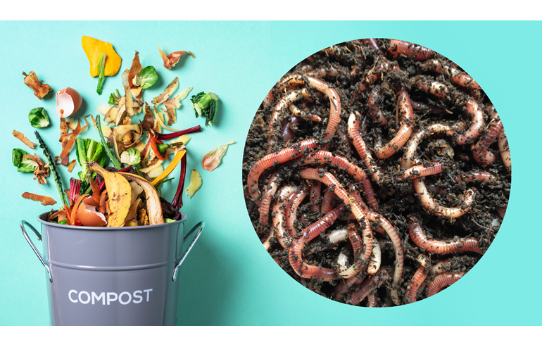 A bucket of compost sits next to a close-up image of worms crawling in dirt