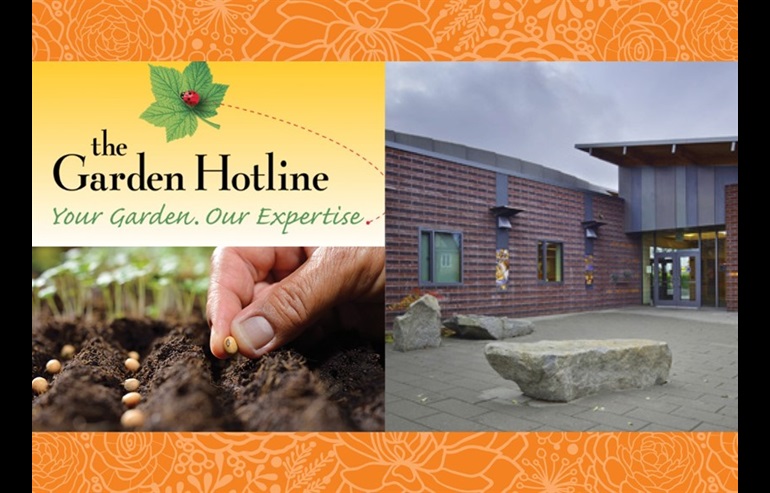 A graphic of the Garden Hotline logo, a hand planting seed in the dirt, and the Seattle Public Library High Point Branch entrance