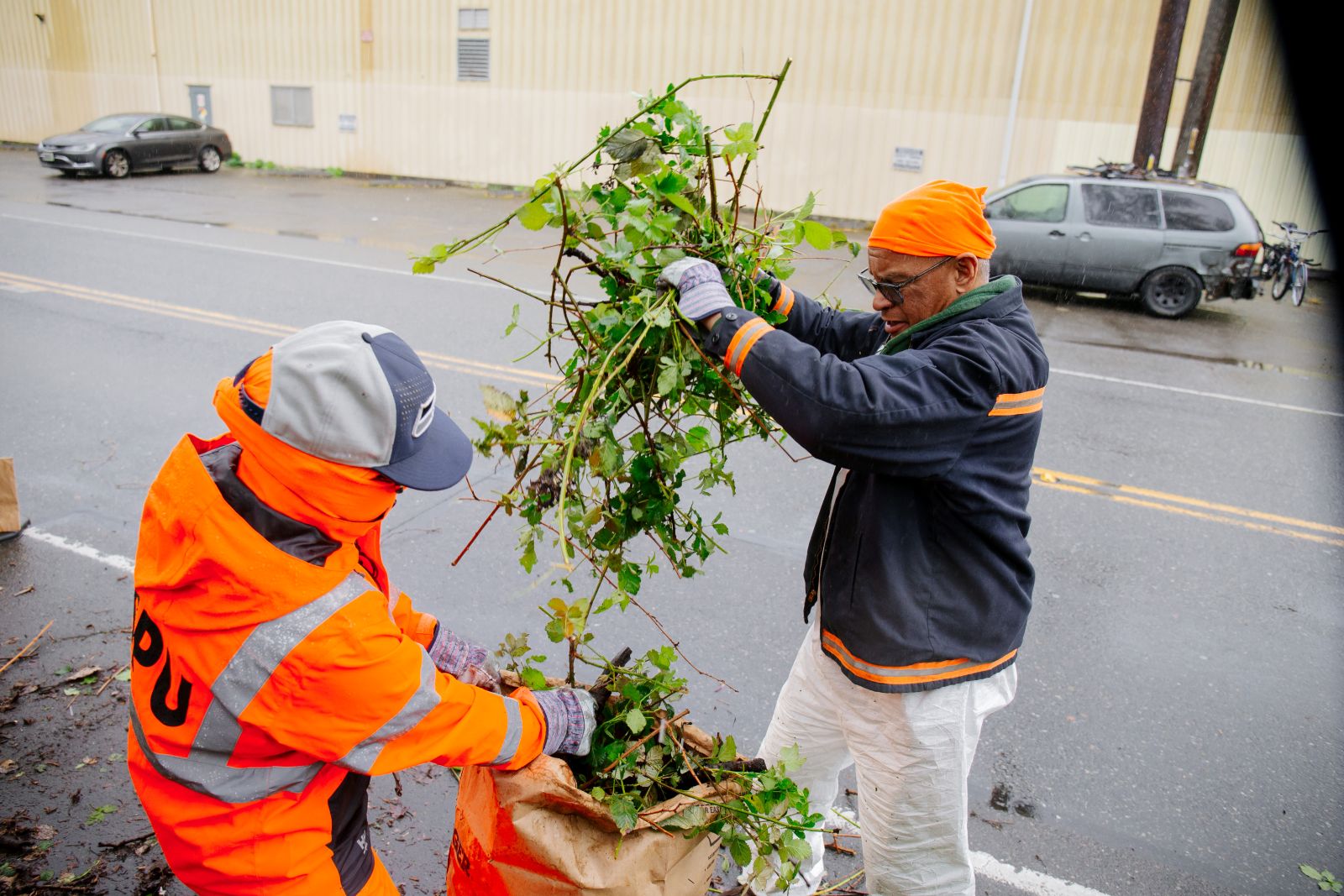 A person puts blackberry bush branches in a trash bag being held by another person.
