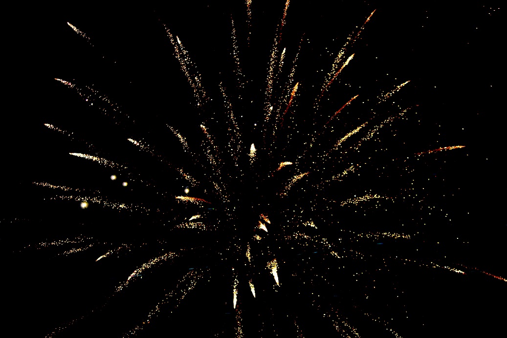 A firework goes off in the night sky