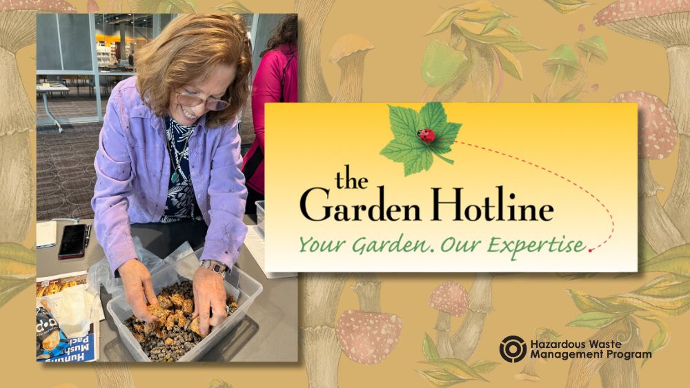 A woman prepares a small terrarium of mushrooms. The Garden Hotline logo appears to the right of the image over a faded background with mushroom illustrations.