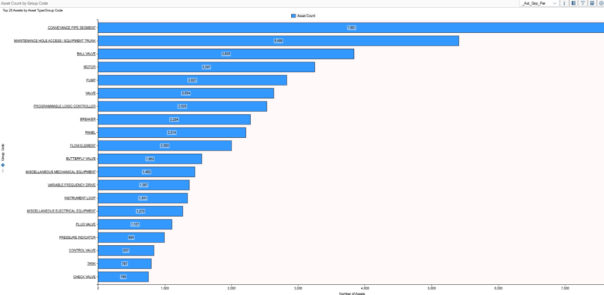 Bar chart displaying top 20 assets by asset type or group code