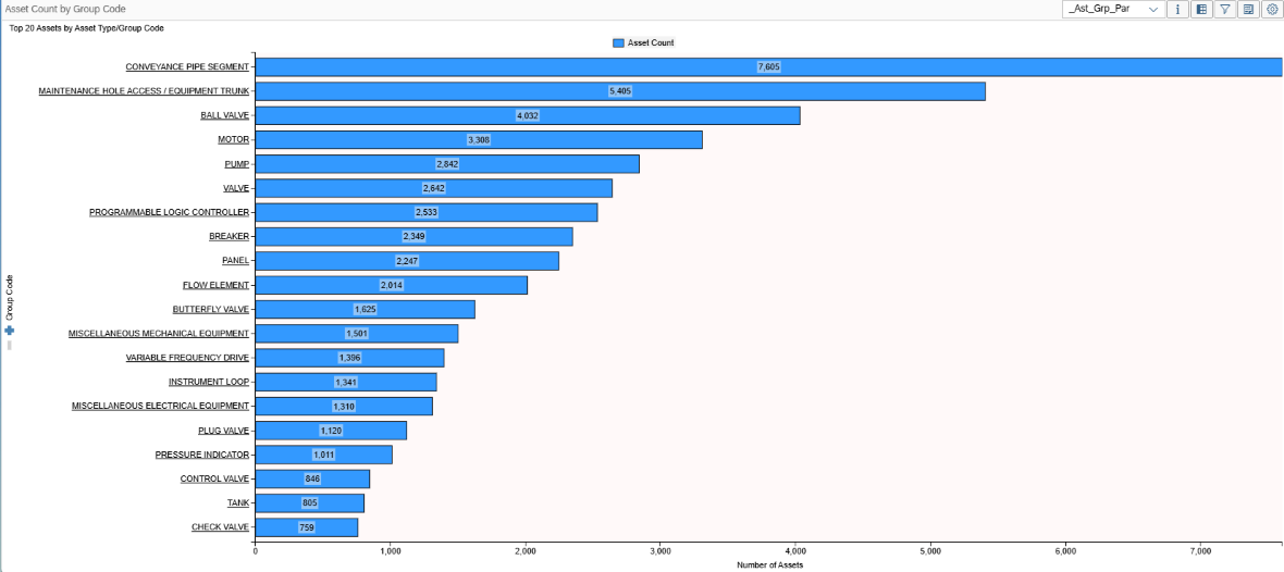 Bar chart displaying top 20 assets by asset type or group code