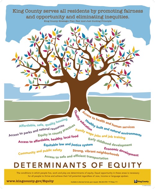ESJ poster displaying Determinants of Equity