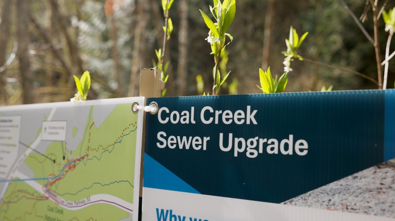 A sign that reads “Coal Creek Sewer Upgrade,” places in front of an outdoor background that shows trees and ferns. 