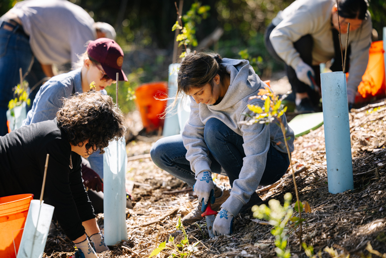 a group of people wearing gloves working in a garden