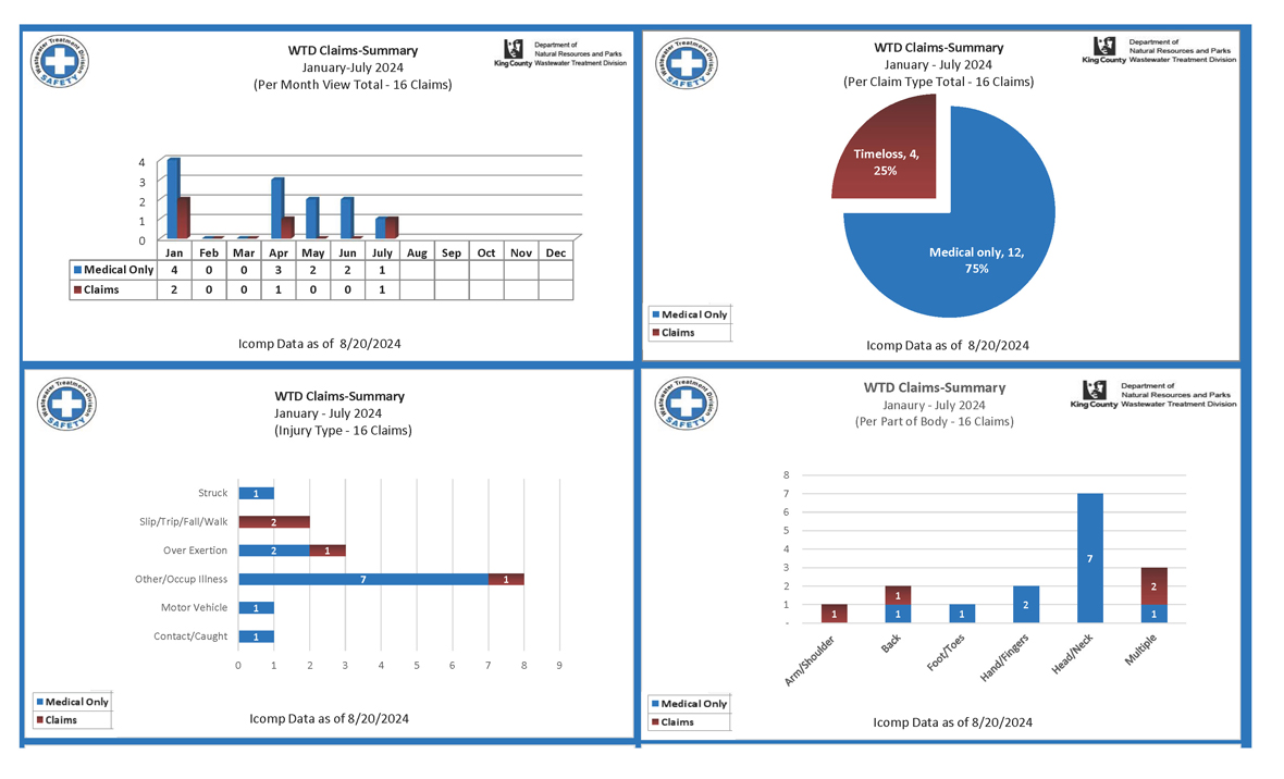 Employee accident and job injury claim experience (for current month and year to date) for the Wastewater Treatment Division (page 1 of 2)