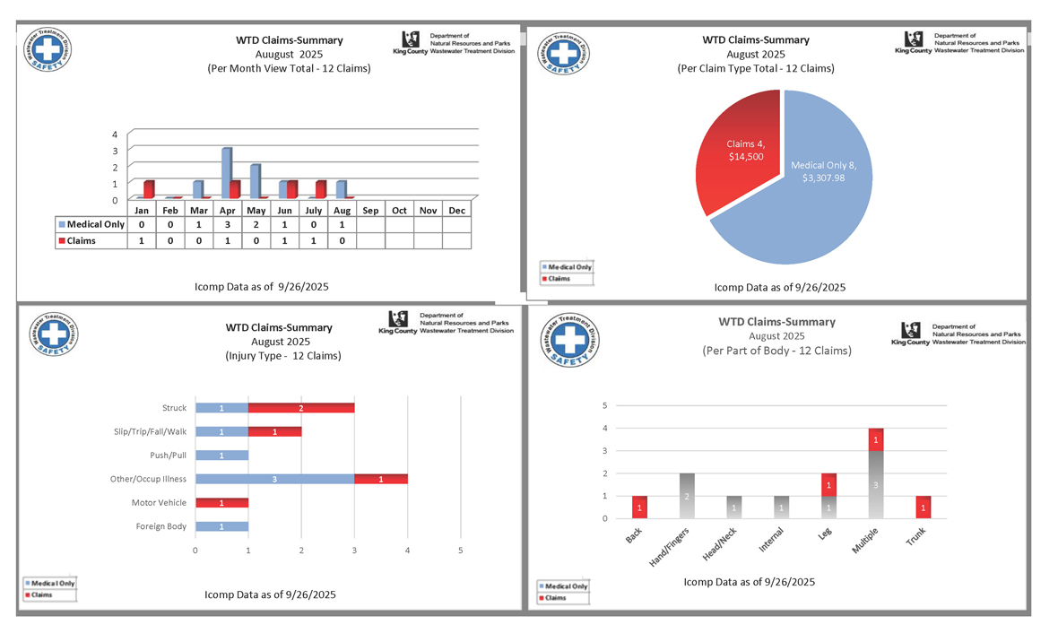 Employee accident and job injury claim experience (for current month and year to date) for the Wastewater Treatment Division (page 1 of 2)