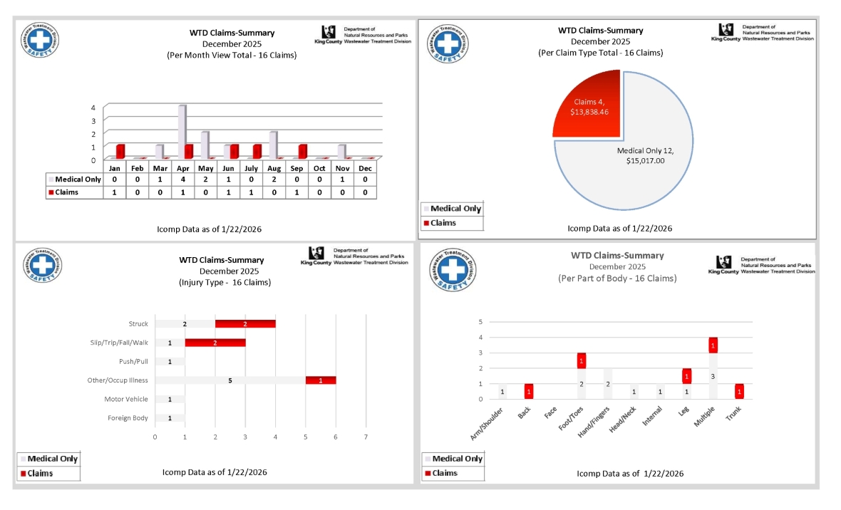 Employee accident and job injury claim experience (for current month and year to date) for the Wastewater Treatment Division (page 1 of 2)