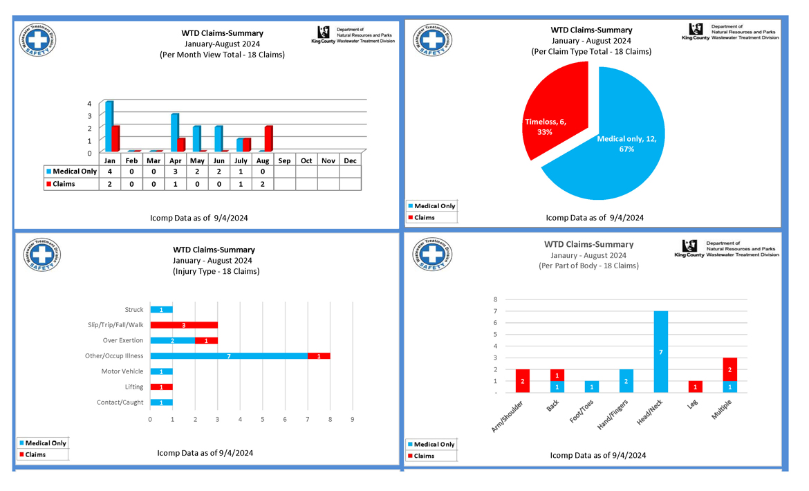 Employee accident and job injury claim experience (for current month and year to date) for the Wastewater Treatment Division (page 1 of 2)