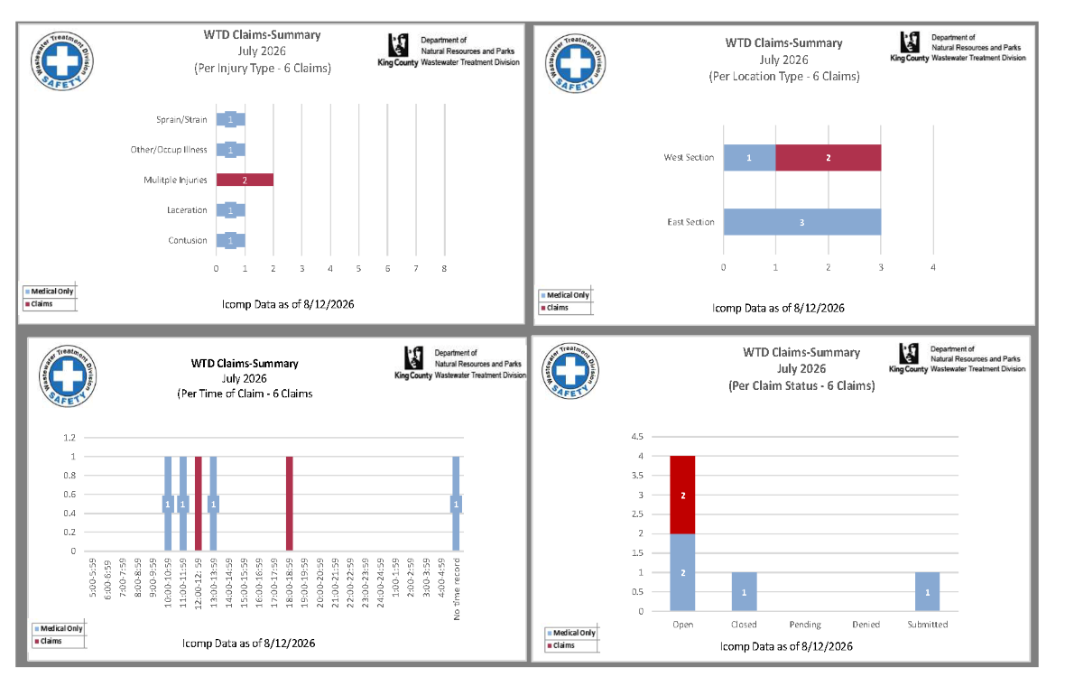 Employee accident and job injury claim experience (for current month and year to date) for the Wastewater Treatment Division (page 2 of 3)