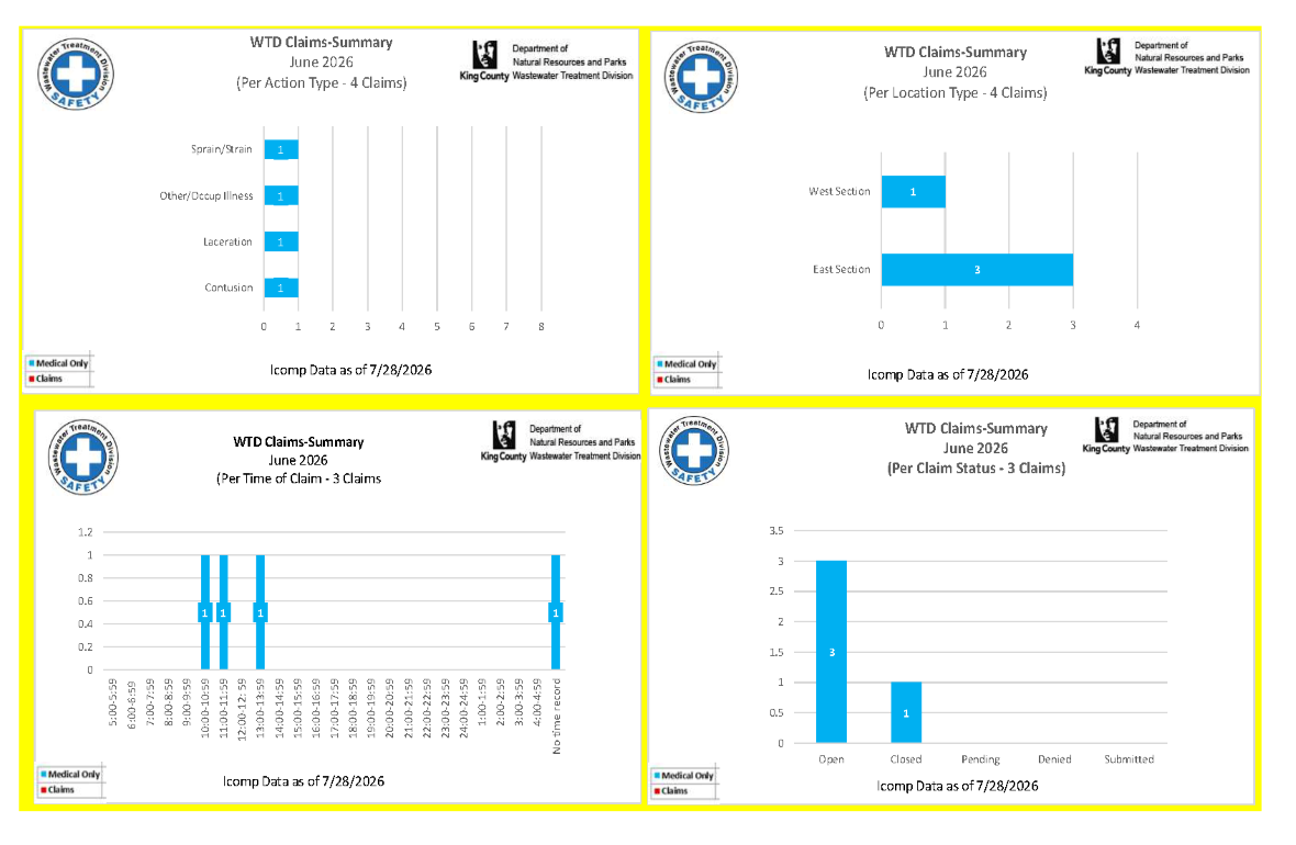 Employee accident and job injury claim experience (for current month and year to date) for the Wastewater Treatment Division (page 2 of 3)
