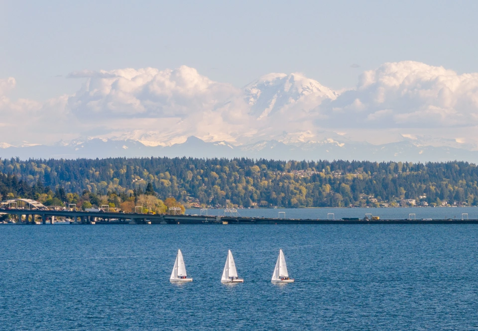 Sailboats travel across a wide blue lake with a forested shoreline and a large snow-covered mountain in the background.