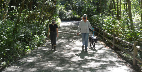 walking dog on a trail