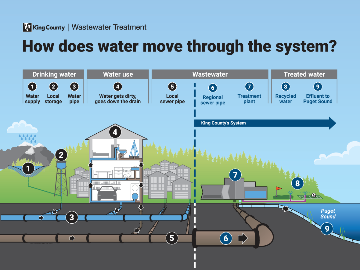 A graphic called "How does water move through the system" with images of how drinking water moves through the system. Drinking water gets used and goes down the drain, travels through local or regional sewer pipes to the treatment center, and then is either recycled or discharged into the Puget Sound.