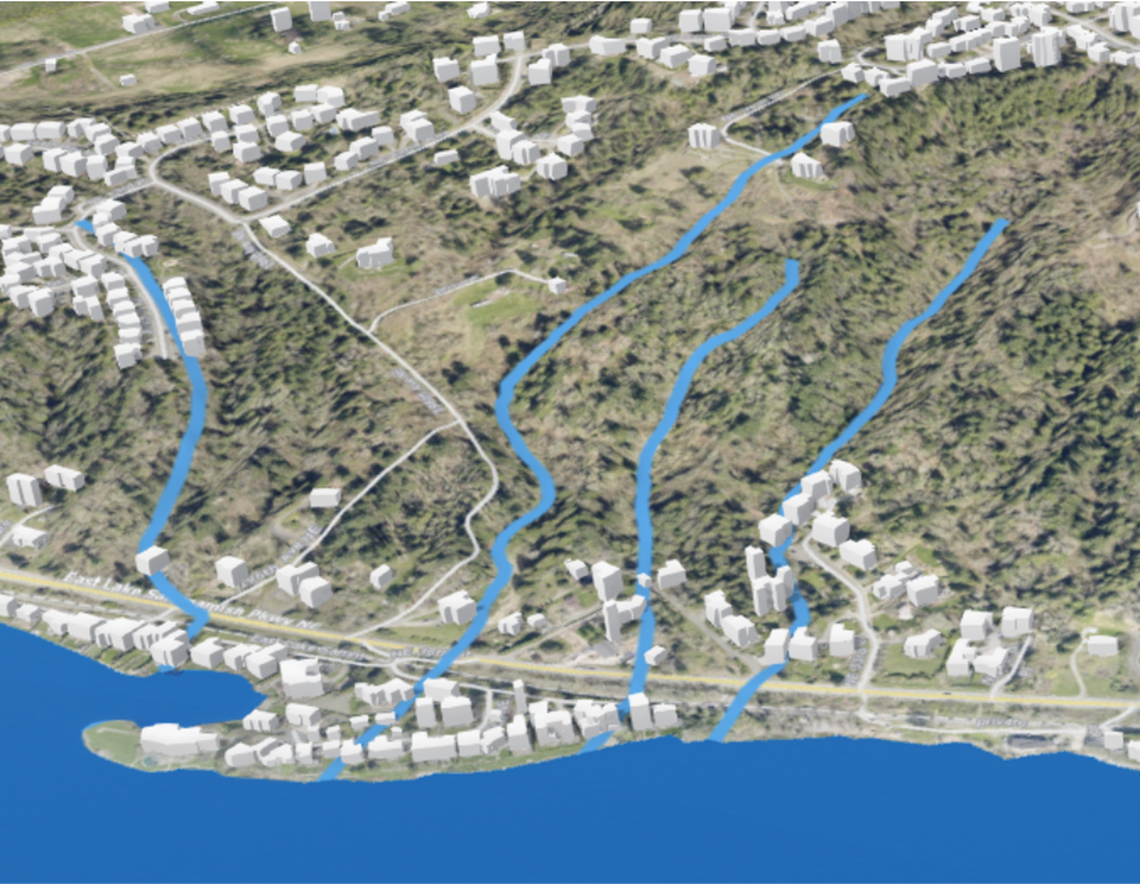An image of a three dimensional map of streams flowing down a forested hillside near the East Lake Sammamish Parkway and into Lake Sammamish, with buildings and streets identified.