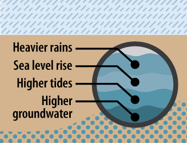 Illustrated image showing a cross section of an underground pipe that is filled with groundwater, sea water, and rainwater.