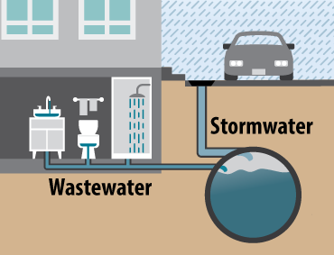 Illustrated image showing water from a sink, toilet, and shower inside a house, and rainwater outside a house going into smaller underground pipes then into one large underground pipe.