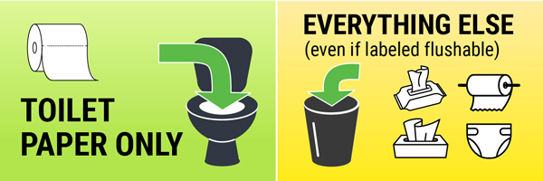 Only toilet paper belongs in the toilet. Do not flush anything else (even if it is labeled flushable). 
