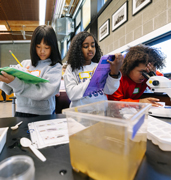 A young child in a pink shirt (held by a parent) reaching out and touching an exhibit in the Brightwater Center