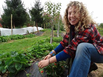 strawberry garden