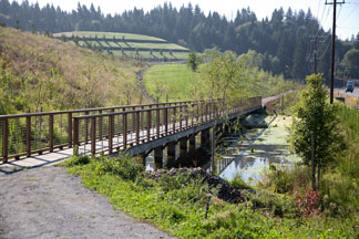 Brightwater trail bridge