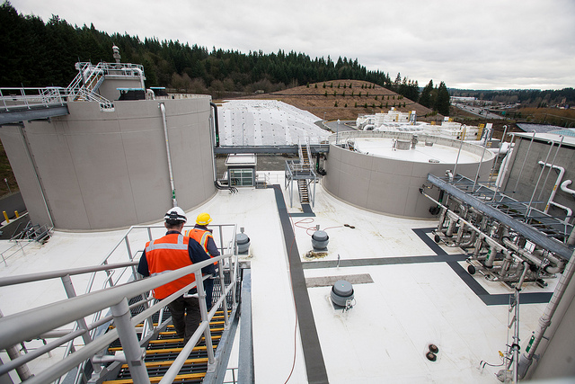 Staff on top of digesters