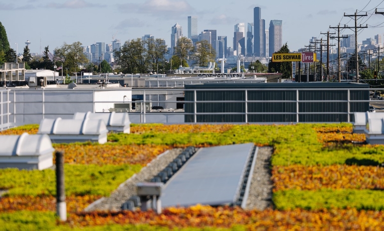 A flat rooftop with green and orange plants and a sun panel. Downtown Seattle skyline is in the distance. 