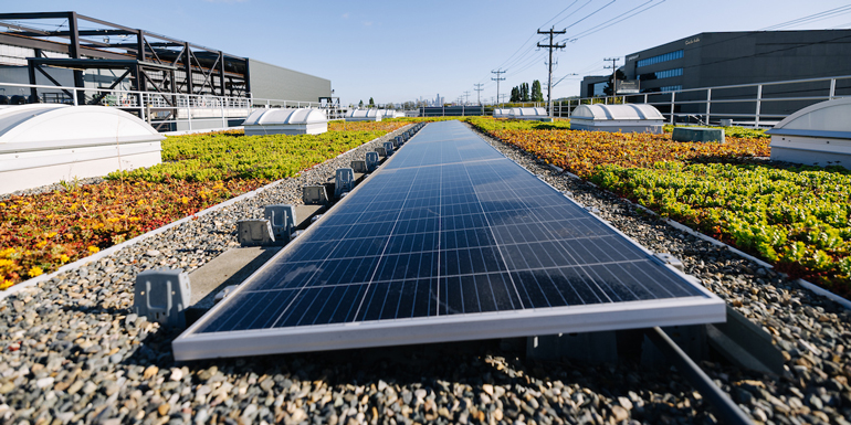 A solar panel about six feet wide and spanning the length of the roof. A green roof (plants) with skylights are on either side of the solar panel. 