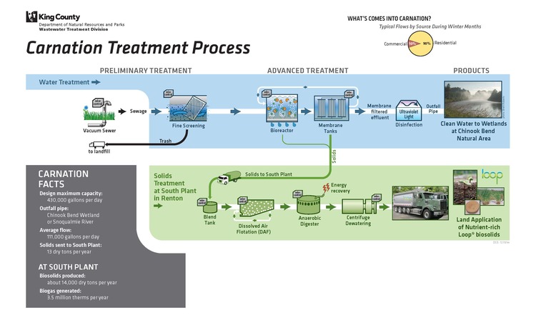 Graphic displaying the Carnation Treatment Plant treatment process steps