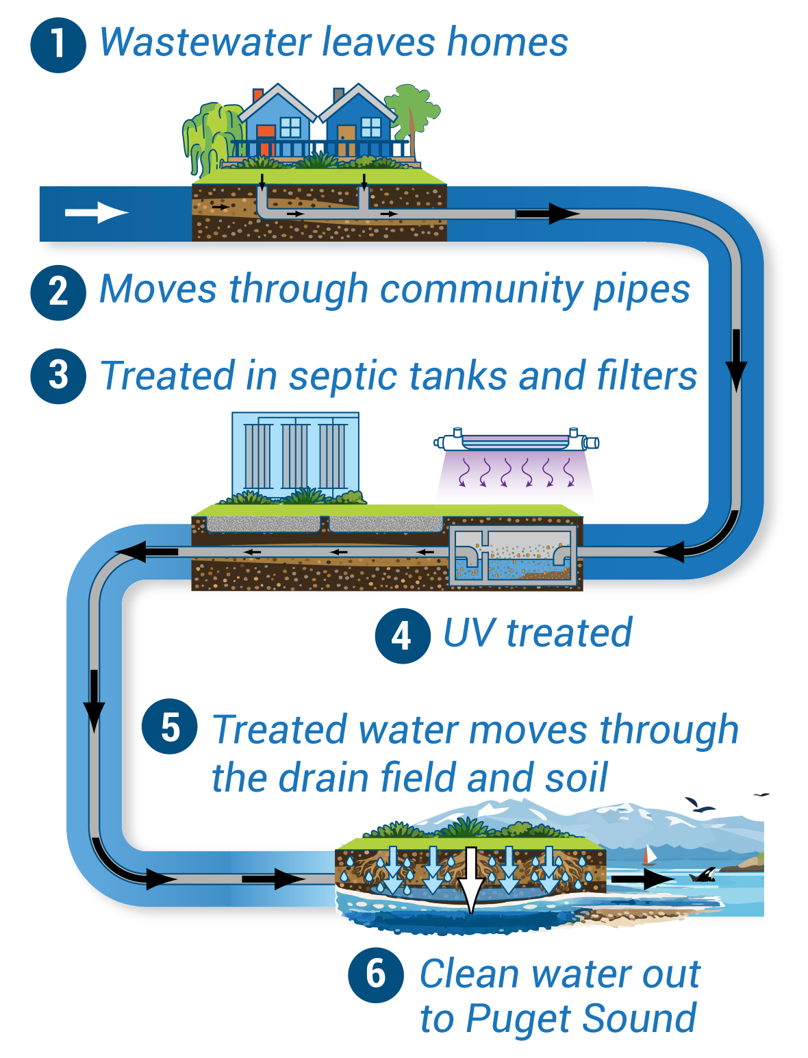 Illustrated diagram showing how wastewater flows from homes through community pipes, septic tanks, filters, UV treatment, and a drain field before clean water returns to Puget Sound.